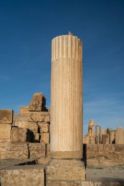 Tebessa - Cezayir 'in doğusundaki şehir - bazilika kompleksinin kalıntıları