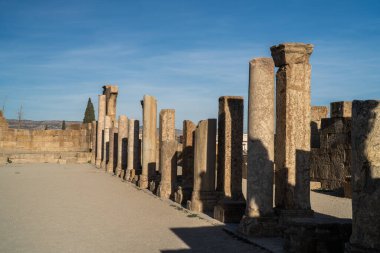 Tebessa - Cezayir 'in doğusundaki şehir - bazilika kompleksinin kalıntıları