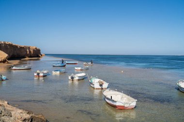 Güney Tunus 'ta büyük bir ada olan Cerba manzarası