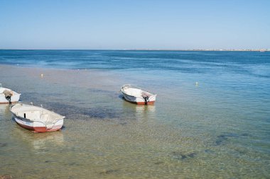 Güney Tunus 'ta büyük bir ada olan Cerba manzarası