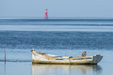 Güney Tunus 'ta büyük bir ada olan Cerba manzarası