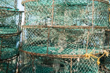 Djerba, Güney Tunus 'ta büyük bir ada.