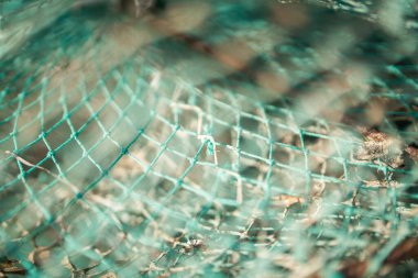 Djerba, Güney Tunus 'ta büyük bir ada.