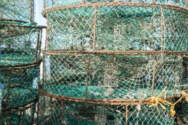 Djerba, Güney Tunus 'ta büyük bir ada.