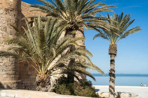 Güney Tunus 'ta büyük bir ada olan Cerba manzarası