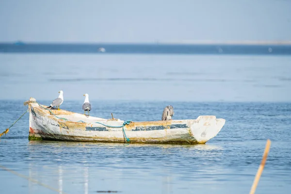 Вид Джербу Большой Остров Юге Туниса — стоковое фото