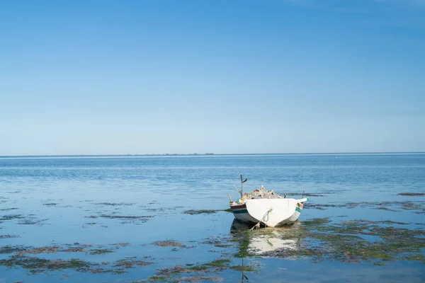 Djerba Une Grande Île Dans Sud Tunisie — Photo