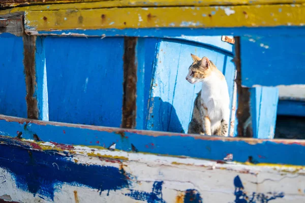 stock image Djerba, a large island in southern Tunisia