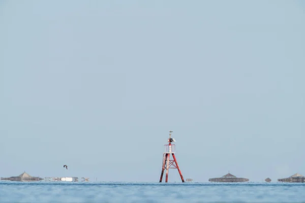 Дьєрба Великий Острів Півдні Тунісу — стокове фото