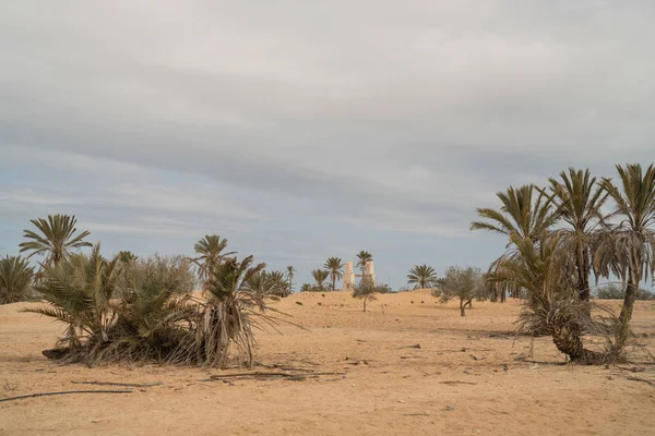 Voormalige Woning Woning Verlaten Djerbian Djerba Zuid Tunesië — Stockfoto