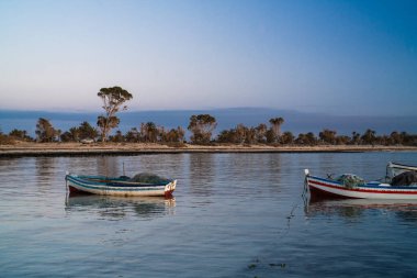 Güney Tunus 'ta büyük bir ada olan Cerba manzarası