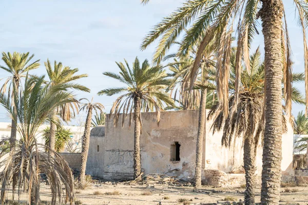 Volt Houch Lakás Elhagyott Djerbian Djerba Dél Tunézia — Stock Fotó