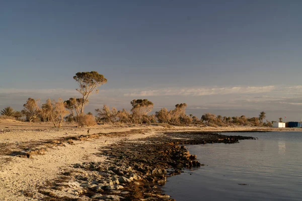チュニジア南部の大きな島 ジェルバ島の眺め — ストック写真