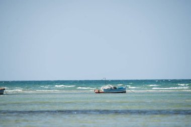Güney Tunus 'ta büyük bir ada olan Cerba manzarası
