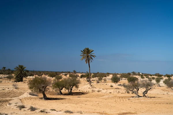 Uitzicht Djerba Een Groot Eiland Zuidelijk Tunesië — Stockfoto