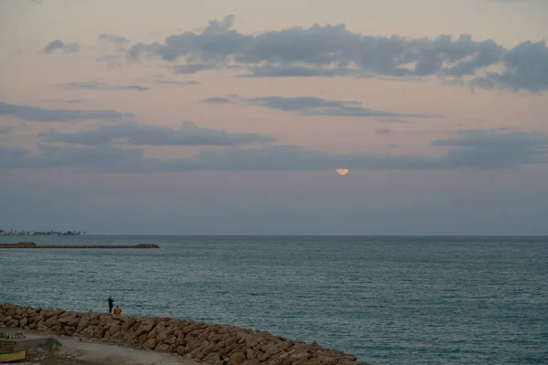 チュニジア南部の大きな島 ジェルバ島の眺め — ストック写真