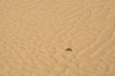 Gökten görünen Cezayir çölü. Tassili-Djanet Ulusal Parkı