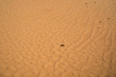 Gökten görünen Cezayir çölü. Tassili-Djanet Ulusal Parkı