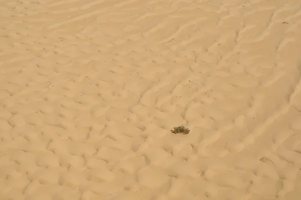 Алжирская Пустыня Видимая Неба Тассили Джанет — стоковое фото