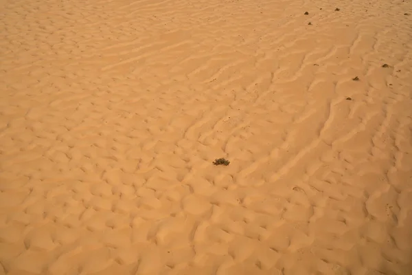 空から見たアルジェリアの砂漠 タシリ ダジャネット国立公園 — ストック写真
