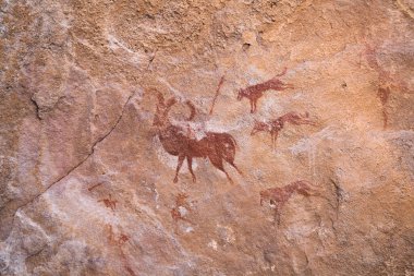 Tassili n 'Ajjer-Desert of Tadrart ruge tassili najer' in Djanet şehrindeki kaya oymaları.
