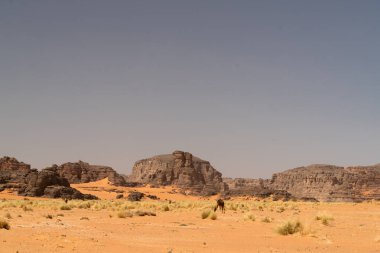 Djanet City, Cezayir 'deki Tadrart Çölü manzaralı ruj tassili najer. Renkli turuncu kum, kayalık dağlar.