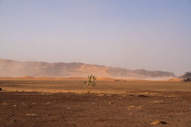 Djanet City, Cezayir 'deki Tadrart Çölü manzaralı ruj tassili najer. Renkli turuncu kum, kayalık dağlar.