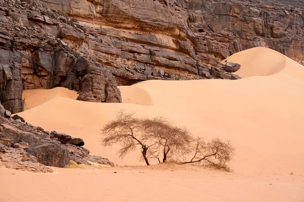 Iew Deserto Saara Tadrart Rouge Tassili Najer Djanet City Algéria — Fotografia de Stock