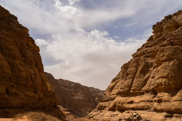 位于阿尔及利亚Djanet市Tadrart Rouge Tassili Najer的撒哈拉沙漠 五彩斑斓的橙色沙子 — 图库照片