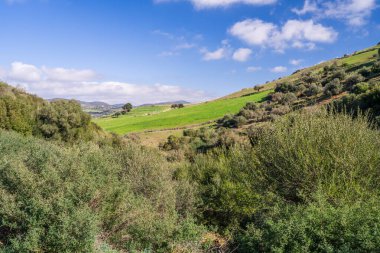 Kuzey Tunus - Sejnene Bölgesi - Tunus