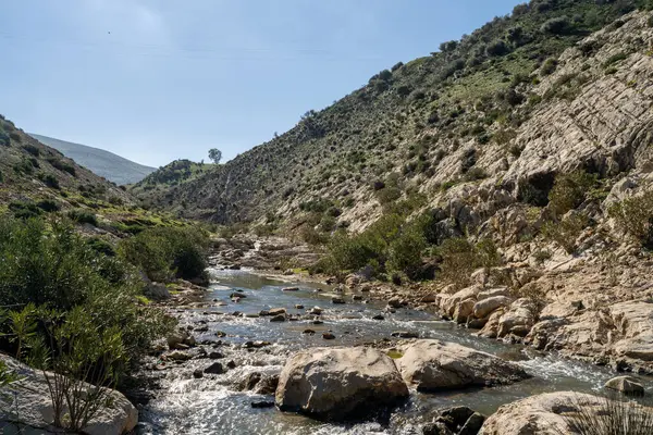 Kuzey Tunus - Sejnene Bölgesi - Tunus