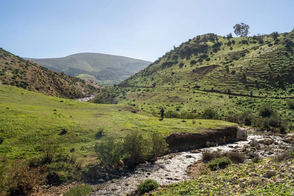 Kuzey Tunus - Sejnene Bölgesi - Tunus