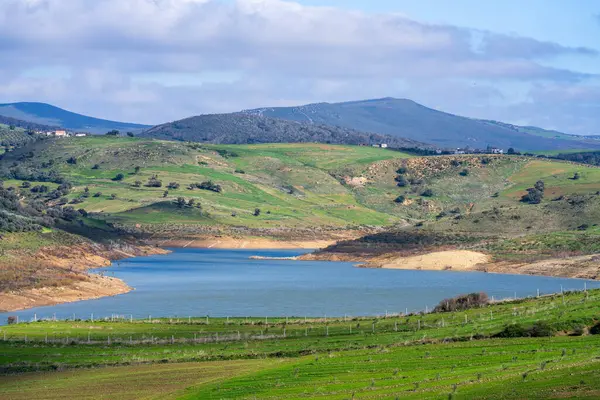 Kuzey Tunus - Sejnene Bölgesi - Tunus