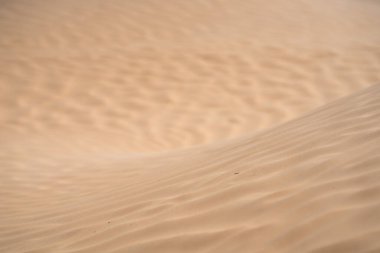 Sahra 'nın kum tepesinde esen rüzgar - Güney Tunus