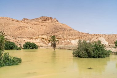 Dahar, southern Tunisian region, green after the rain clipart