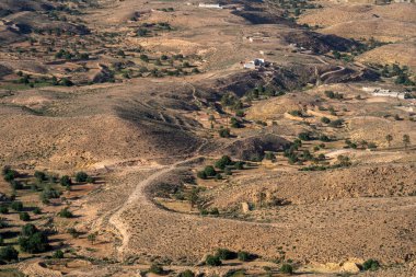 Dahar, Güney Tunus bölgesi, yağmurdan sonra yeşil