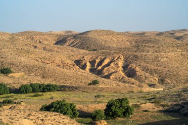 Dahar, Güney Tunus bölgesi, yağmurdan sonra yeşil