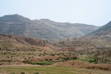 Dahar, Güney Tunus bölgesi, yağmurdan sonra yeşil