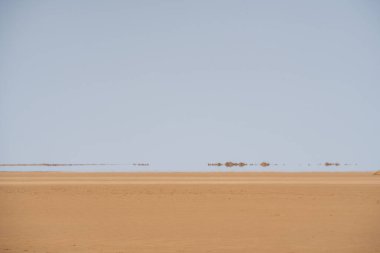 Chott Jerid 'deki serap - Güney Tunus
