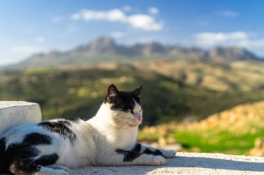 Zriba Olya, Tunus 'un tarihi bir Berberi köyü.