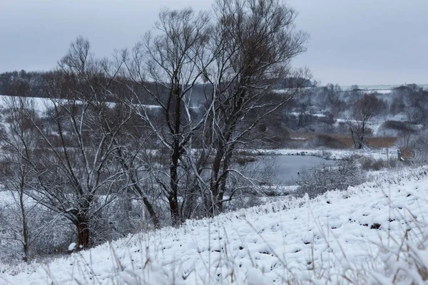 Zimní Krajina Stromy Keře Jsou Pokryty Bílým Nadýchaným Sněhem Dálce — Stock fotografie