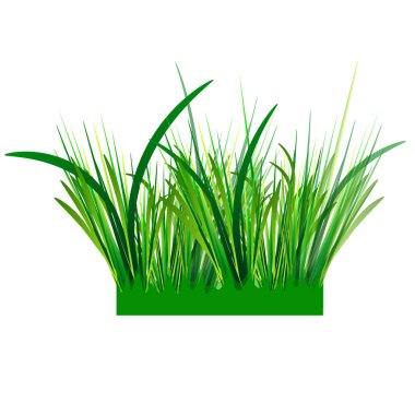 Vector graphics. Design element. A tuft of grass drawn with a gradient.