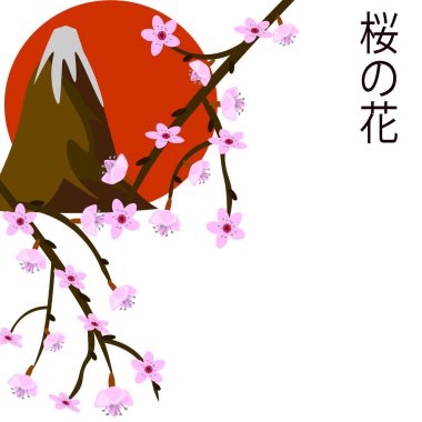 Vektör grafikleri. Kızıl güneşin arka planında, karla kaplı zirvesi ve kiraz çiçeklerinin dalları olan bir dağ. Yanında Japonca 