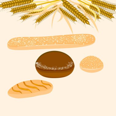 Vektör grafikleri. Hafif bir arka planda, buğday kulakları, bir somun beyaz un, bir baget, bir Fransız çöreği ve çavdar ekmeği.