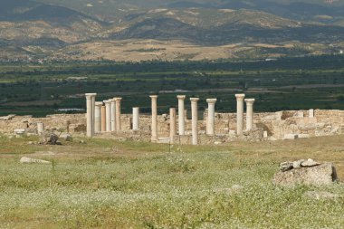 Laodicea Denizli 'deki Lycus Antik Kenti, Türkiye