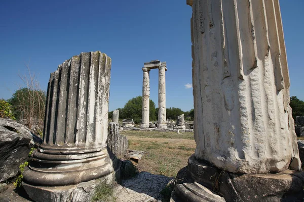Temple Aphrodite Aphrodisias Ancienne Ville Geyre Aydin Turkiye — Photo