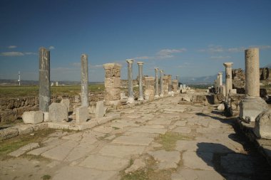 Denizli 'deki Lycus Antik Kentinde Laodicea' da Colonnaded Caddesi, Türkiye