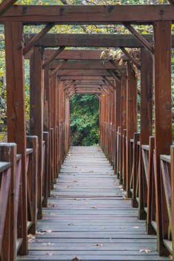 Bridge in Kursunlu Waterfall in Antalya City, Turkiye