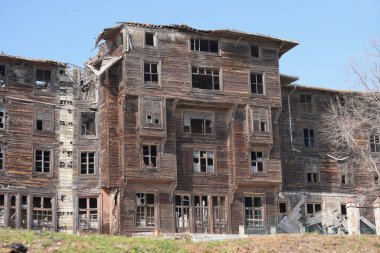 Prinkipo Greek Orthodox Orphanage in Buyuk Ada, Istanbul City, Turkiye