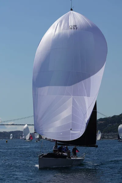 Istanbul Turkiye September 2022 Sailboat Competing Bosphorus Cup — Stockfoto